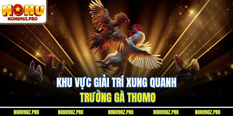 Khu vực giải trí xung quanh trường gà Thomo