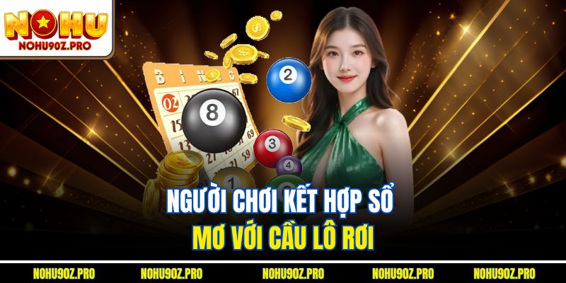 Người chơi kết hợp sổ mơ với cầu lô rơi