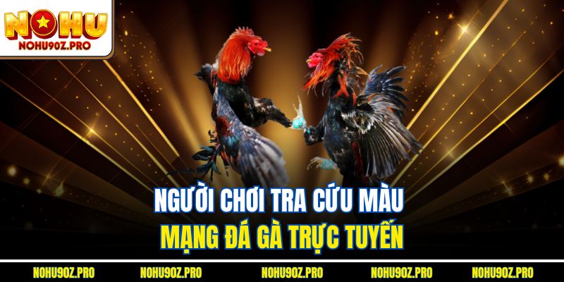 Người chơi tra cứu màu mạng đá gà trực tuyến